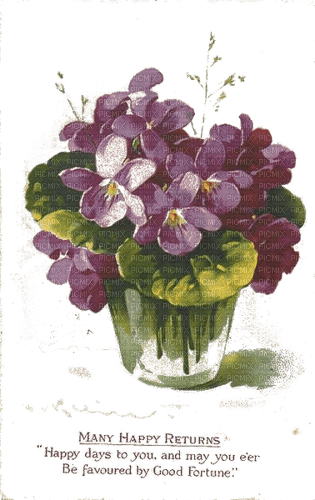 Veilchen, Blumen - PNG gratuit