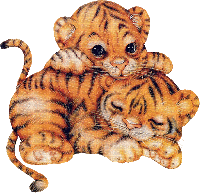 bébé tigre - Darmowy animowany GIF