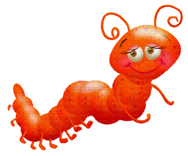 Y.A.M._Summer little animals caterpillar - Bezmaksas animēts GIF