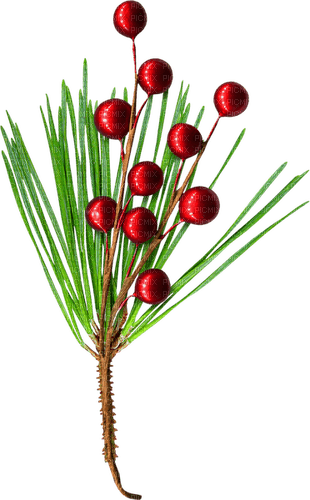 Branch.Berries.Brown.Green.Red - zadarmo png