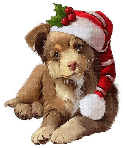 Christmas.Dog.Noël.Chien.Hat.Victoriabea - zadarmo png
