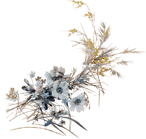 Flower Decoration - png gratuito
