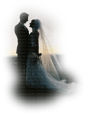 wedding couple bride and groom couple mariage - Free PNG