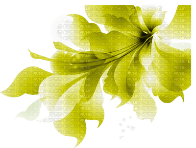 Flower, Flowers, Yellow, Deco, Decoration - Jitter.Bug.Girl - бесплатно png