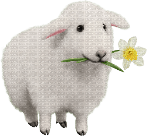 Sheep.Mouton.Lamb.Oveja.Victoriabea - Free PNG