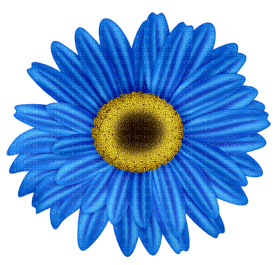 Kaz_Creations Deco Flower Colours Blue - zdarma png