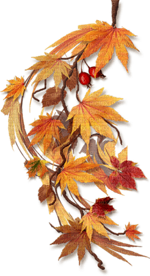 Kaz_Creations Orange Scrap Deco Leaves Leafs Autumn - nemokama png