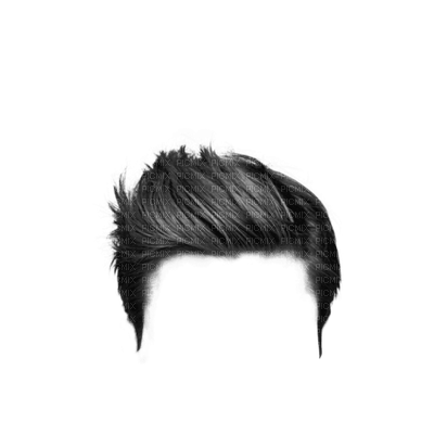 hair, wig bp - zadarmo png