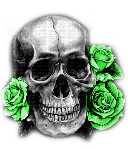 Skull.Roses.Black.White.Green - By KittyKatLuv65 - gratis png