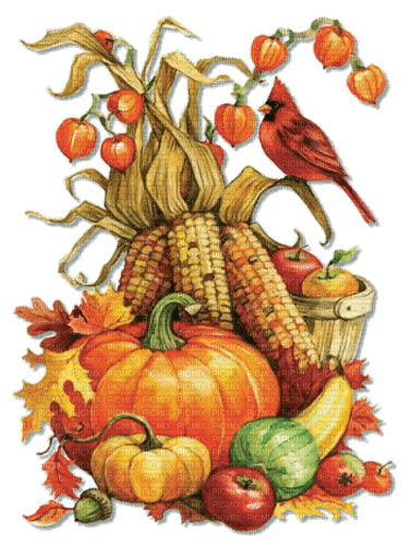 Herbst, Ernte - δωρεάν png
