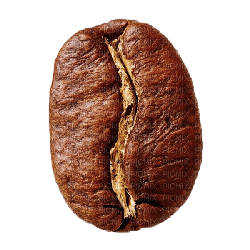 Coffee Brown Gold - Bogusia - bezmaksas png