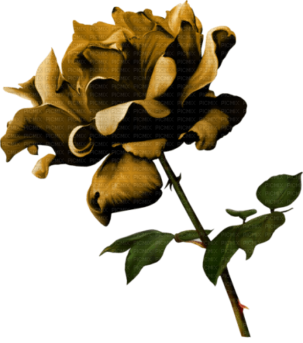autumn deco kikkapink png brown rose flower - безплатен png