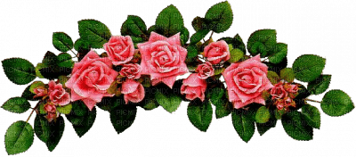 dolceluna border roses flowers - бесплатно png
