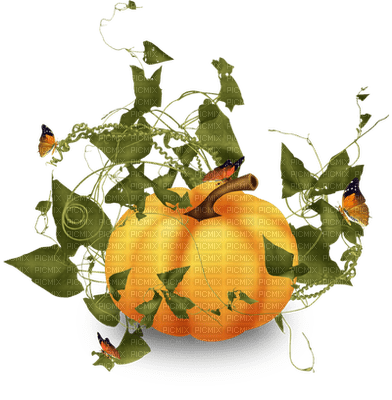 automne citrouille_pumpkin_ Halloween_autumn_BlueDREAM 70 - PNG gratuit