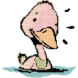 duck animated canard gif - Nemokamas animacinis gif