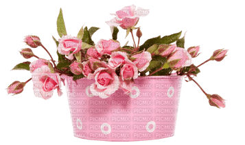 Kaz_Creations Deco Flowers Colours - png gratis