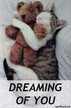 dreaming - darmowe png