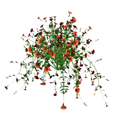 flowers by nataliplus - gratis png