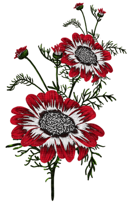 fleur rouge.Cheyenne63 - δωρεάν png