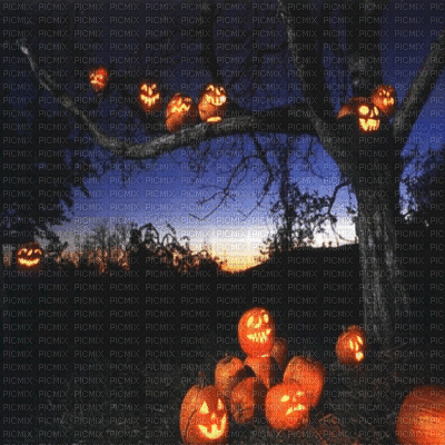halloween gif background - Darmowy animowany GIF