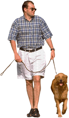 Male dog walker - png gratis