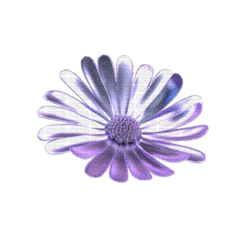 purple flower gif - 免费动画 GIF