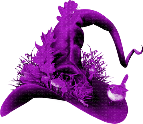 Witch.Hat.Purple - zdarma png