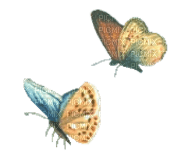 vintage butterfly - png grátis