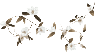 soave deco branch animated spring flowers - Gratis animerad GIF