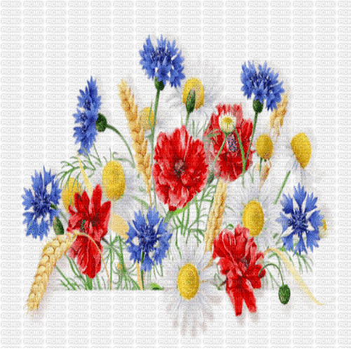 background hintergrund fondo flowers milla1959 - GIF animado gratis