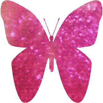 butterfly edit by me - GIF animado gratis