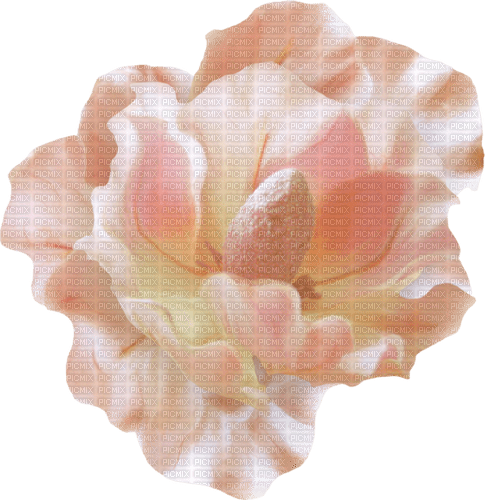 dolceluna white pink flower spring summer - png gratis