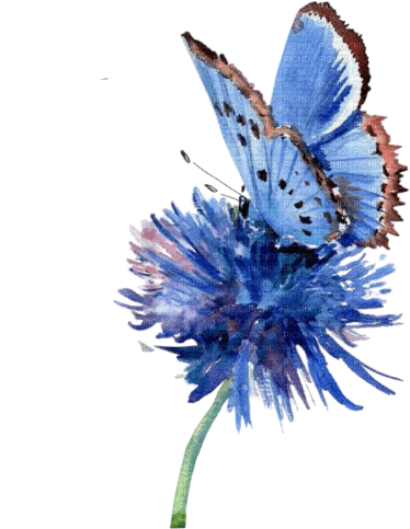 loly33 fleur papillon aquarelle - ilmainen png