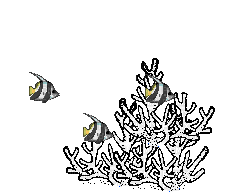 poisson - Ingyenes animált GIF