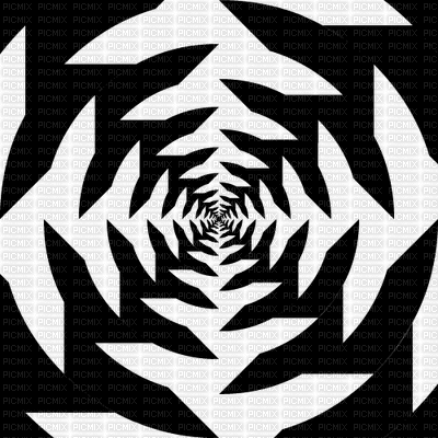 Illusion Black and White - Бесплатный анимированный гифка