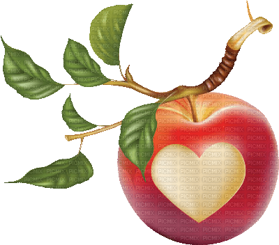 Obst, Apfel - png gratis