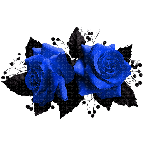 Gothic.Roses.Black.Blue - Free PNG
