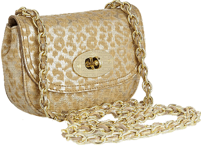 Handbag accessories bp - bezmaksas png