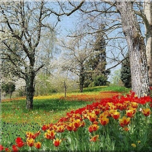 Frühling printemps spring - png ฟรี
