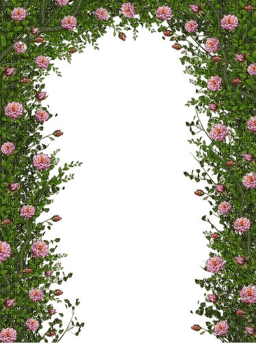 cadre haie  roses - ücretsiz png