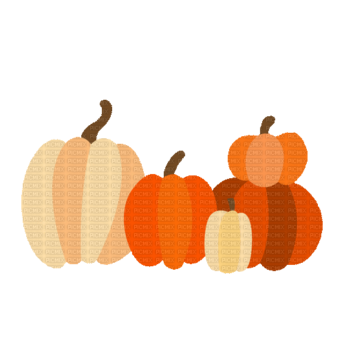Pumpkins - Free animated GIF