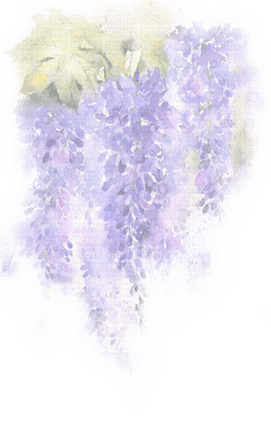 fleur violette.Cheyenne63 - zdarma png