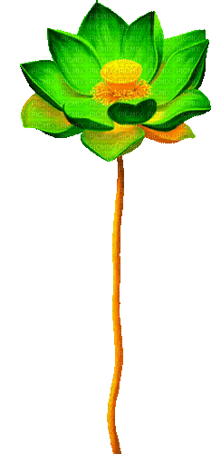 Animated.Lotus.Flower.Green - By KittyKatLuv65 - Ingyenes animált GIF