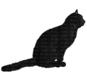 Kaz_Creations Cat Kitten - PNG gratuit