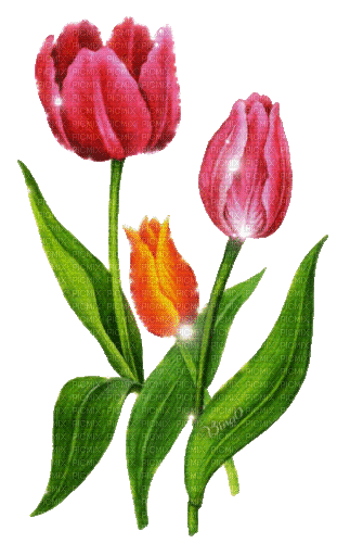Y.A.M._Spring Flowers Decor - Gratis animerad GIF