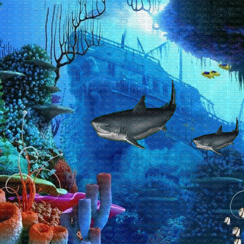 Rena Water Wasser Underwater - Gratis animeret GIF