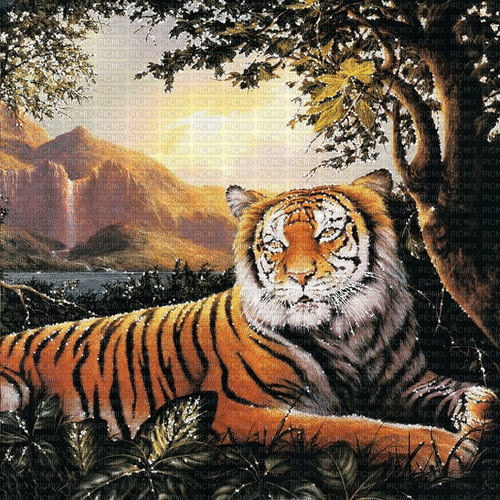 tiger milla1959 - Безплатен анимиран GIF