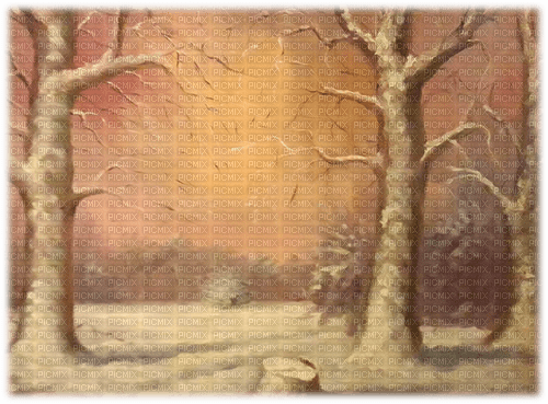 winter landscape - zdarma png