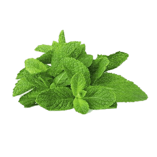 Peppermint - Free PNG