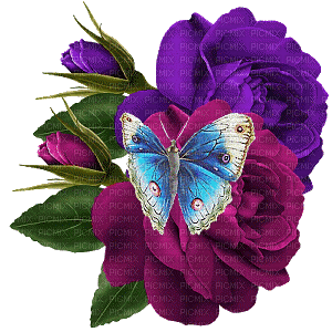 fleur et papillon - Besplatni animirani GIF